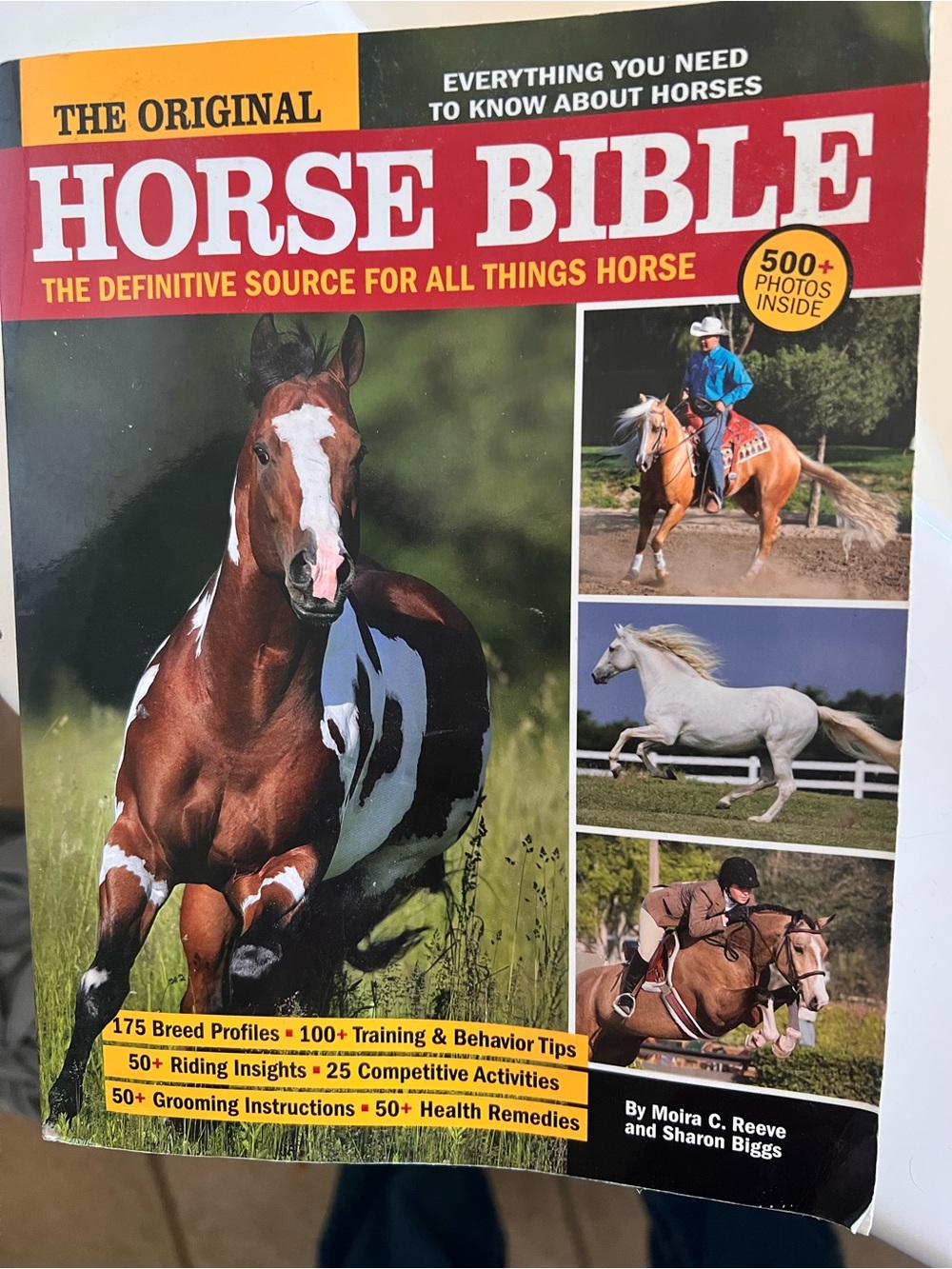 The Original Horse Bible - Horse Photography Cover
